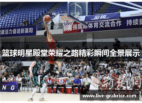 篮球明星殿堂荣耀之路精彩瞬间全景展示