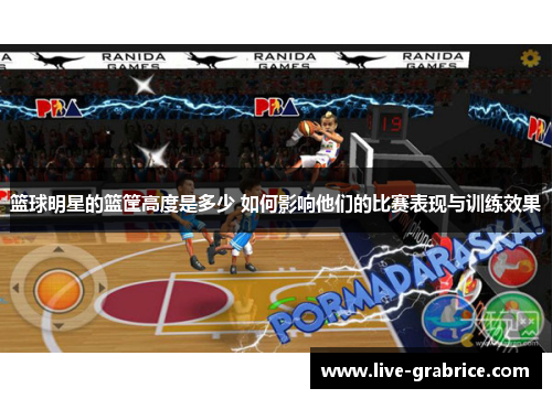 篮球明星的篮筐高度是多少 如何影响他们的比赛表现与训练效果