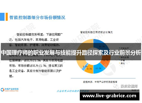 中国理疗师的职业发展与技能提升路径探索及行业前景分析