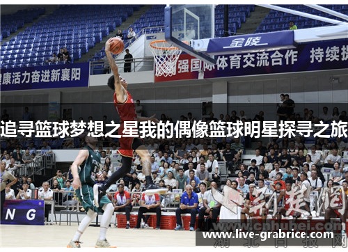 追寻篮球梦想之星我的偶像篮球明星探寻之旅